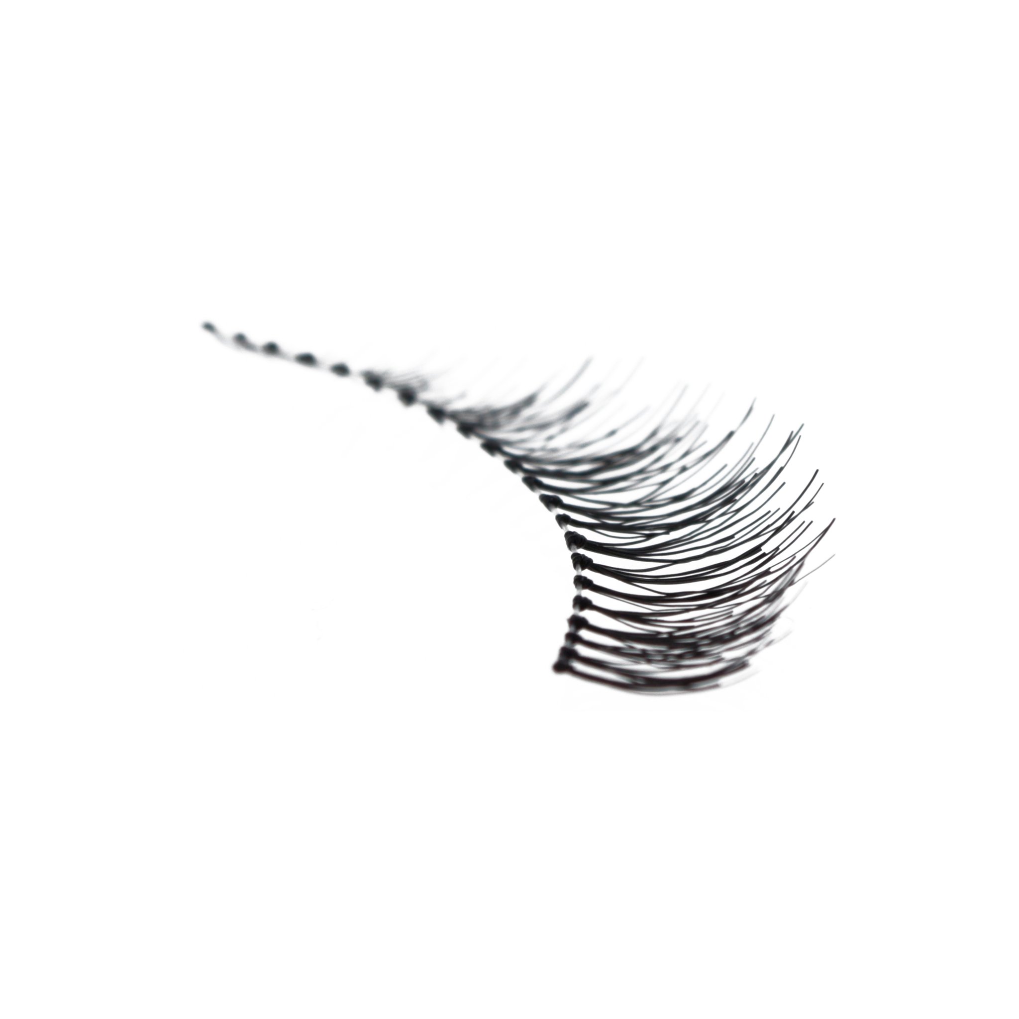 Collection of Eyelashes clipart | Free download best Eyelashes clipart