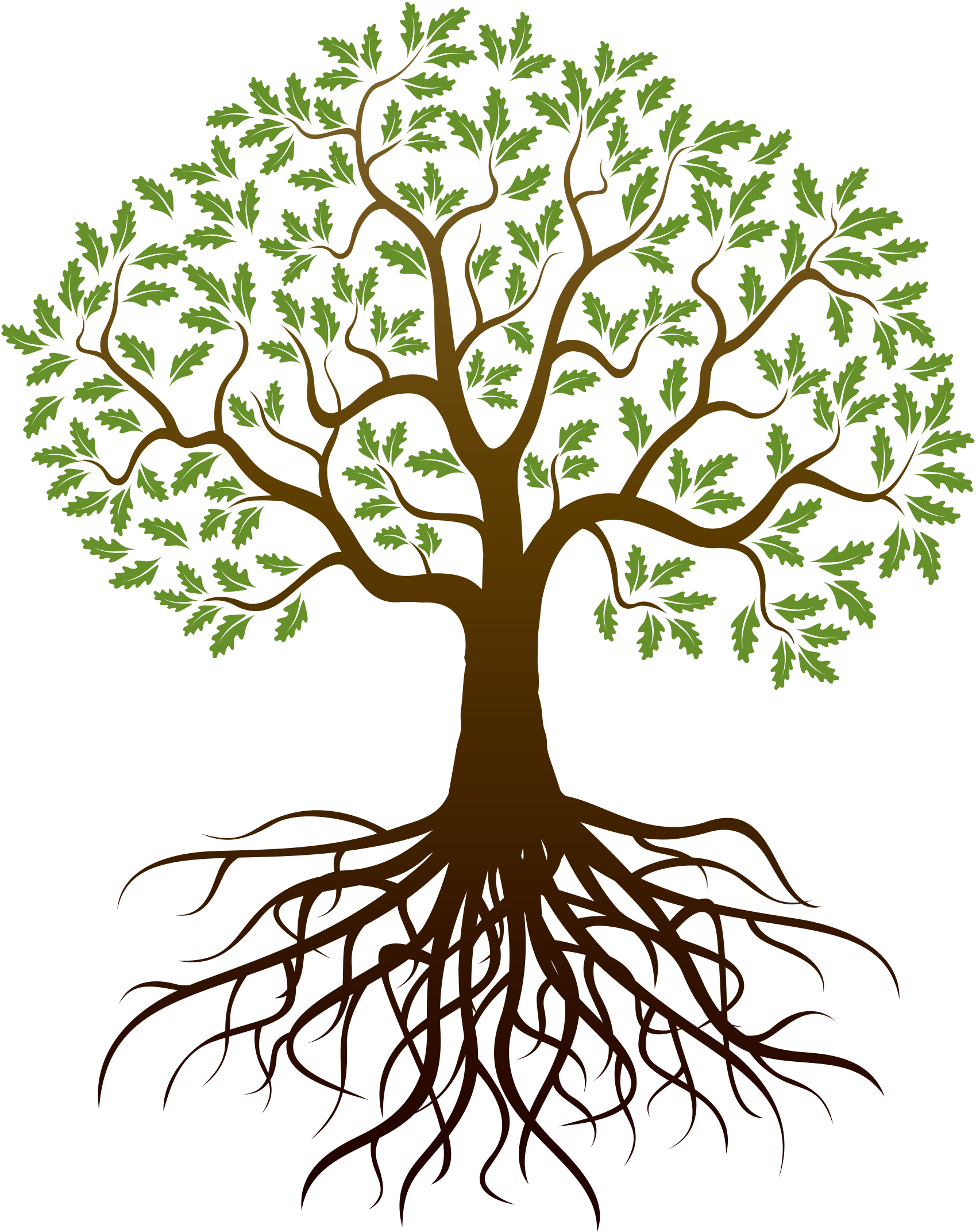 African Tree Drawing | Free download on ClipArtMag