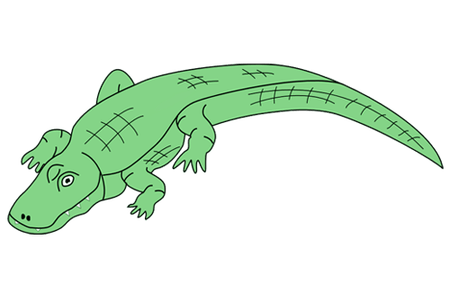 Alligator Cartoon Drawing | Free download on ClipArtMag