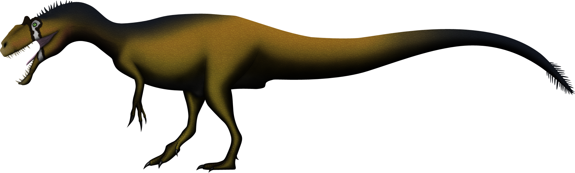 an allosaurus