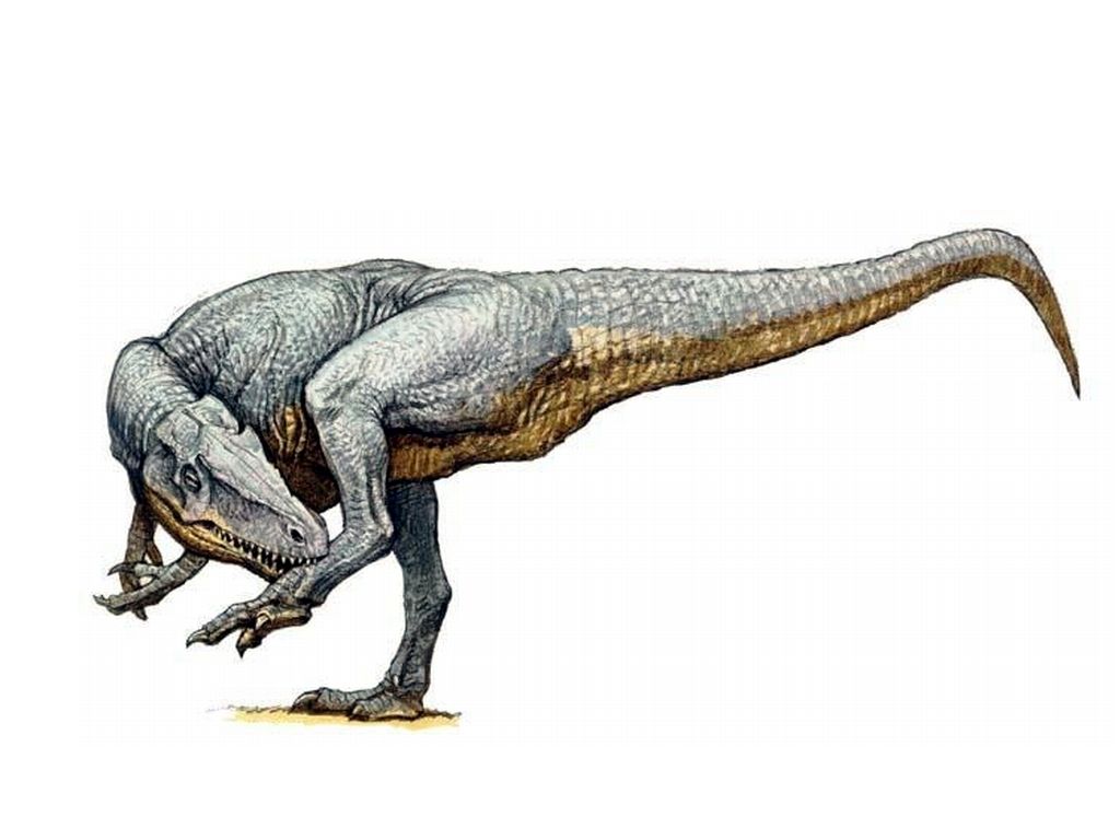 allosaurus period