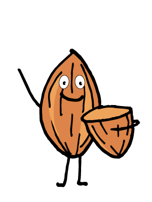 Almond Drawing | Free download on ClipArtMag