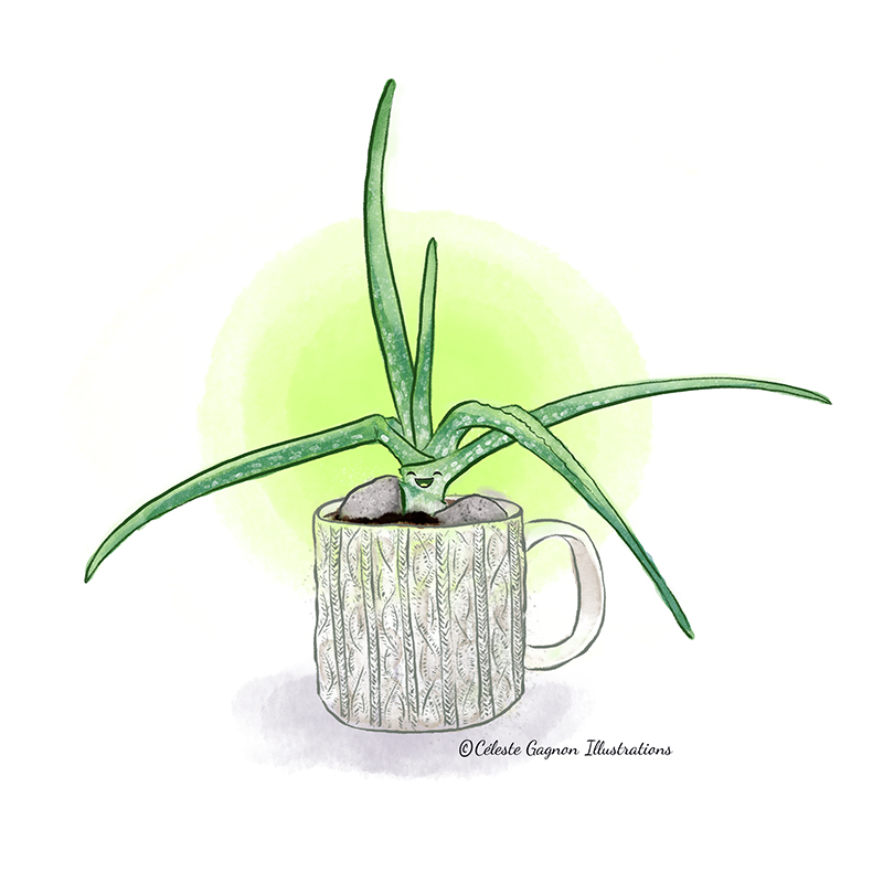 Aloe Vera Drawing | Free download on ClipArtMag