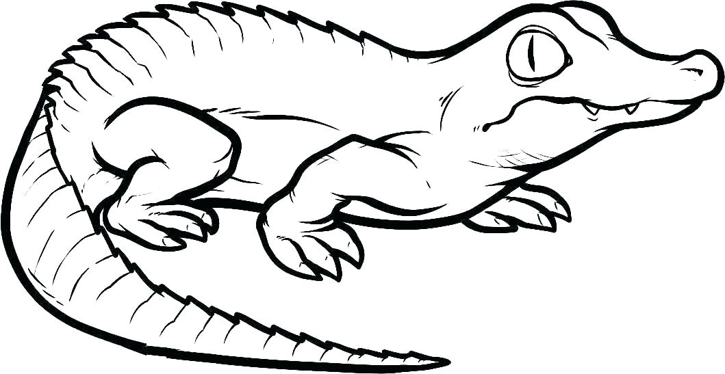 Amphibians Drawing | Free download on ClipArtMag