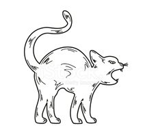 Angry Cat Drawing | Free download on ClipArtMag