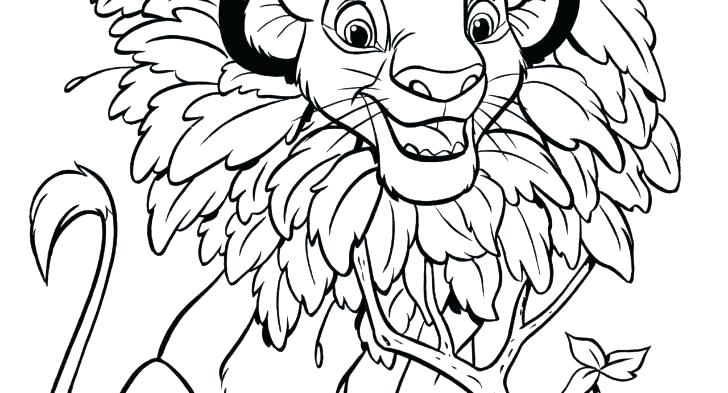 Animal Kingdom Drawing | Free download on ClipArtMag