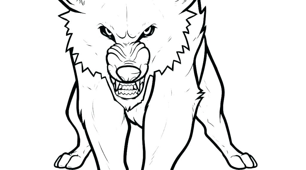 Anime Wolf Drawing | Free download on ClipArtMag
