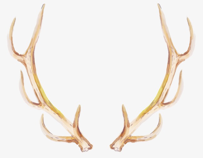 Collection of Antlers clipart | Free download best Antlers ...