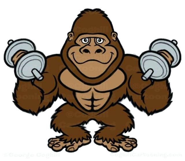 Collection of Ape clipart | Free download best Ape clipart on