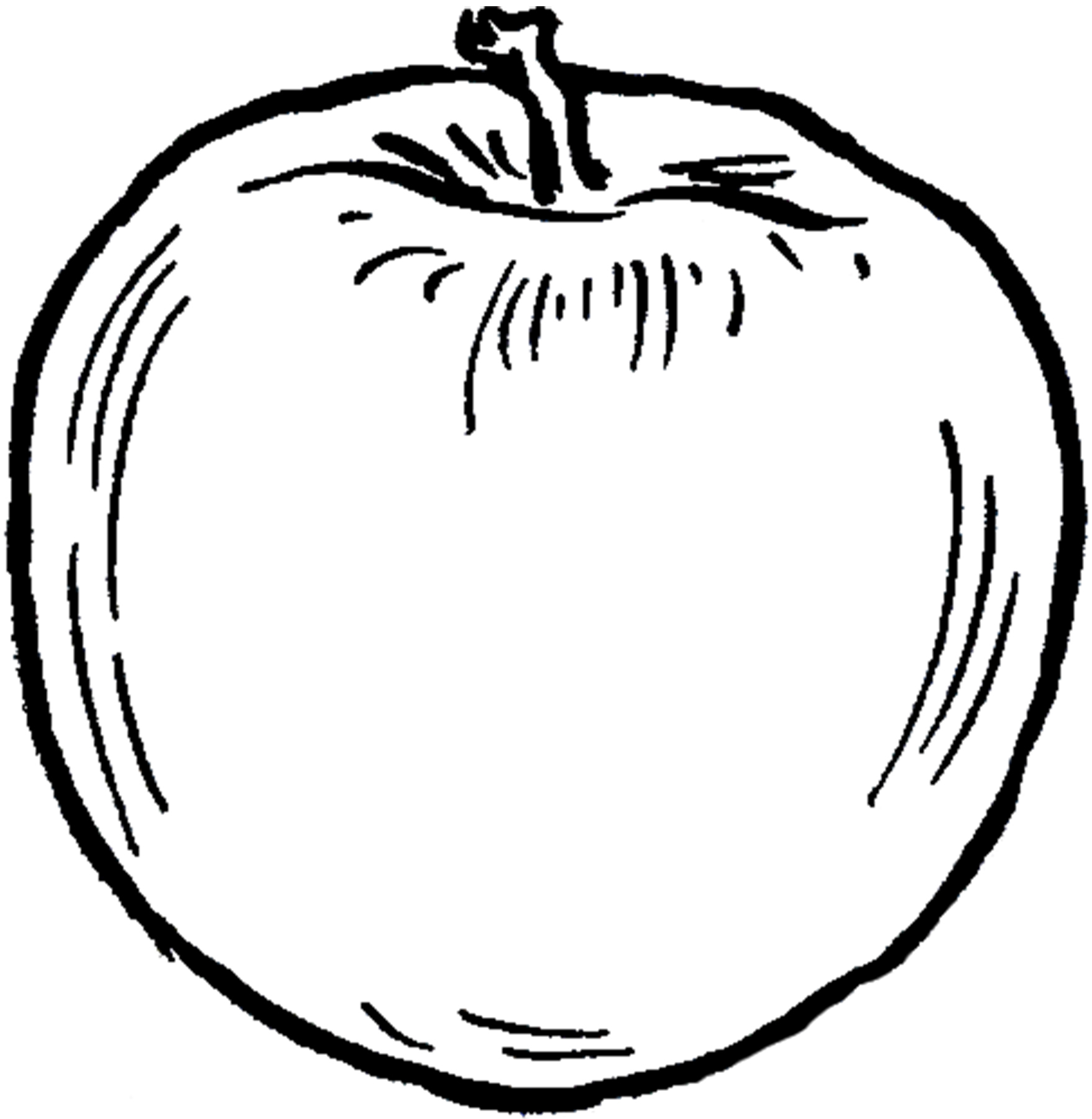 Sketch Diagram Of An Apple