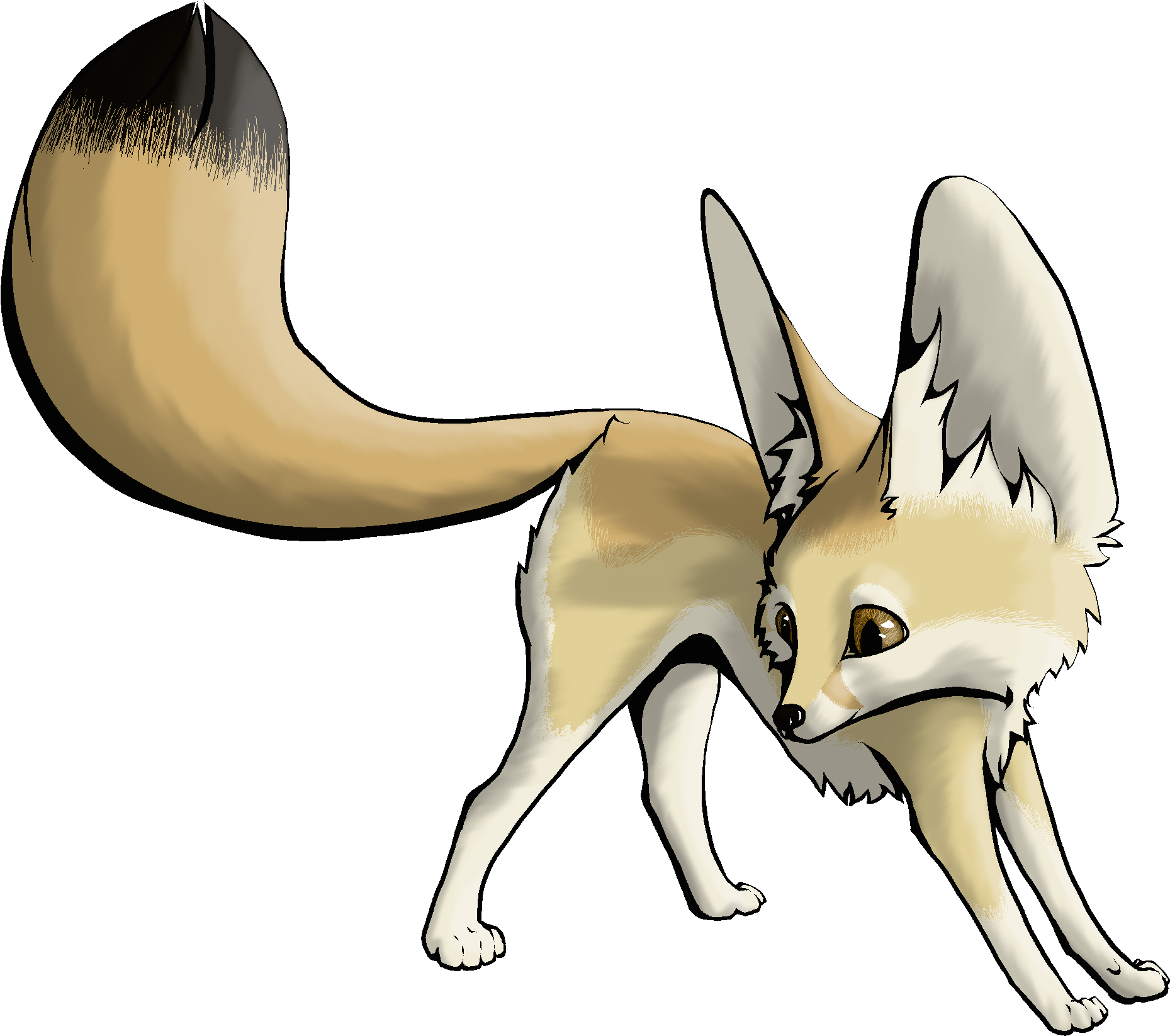 Arctic Fox Drawing | Free download on ClipArtMag