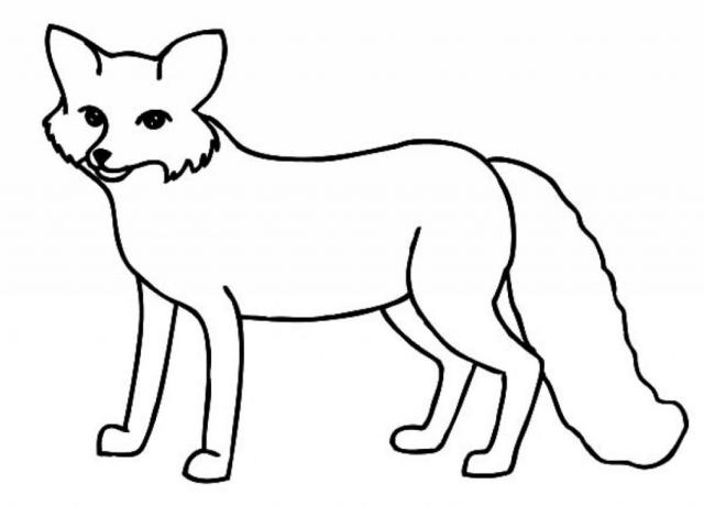 Arctic Fox Drawing | Free download on ClipArtMag