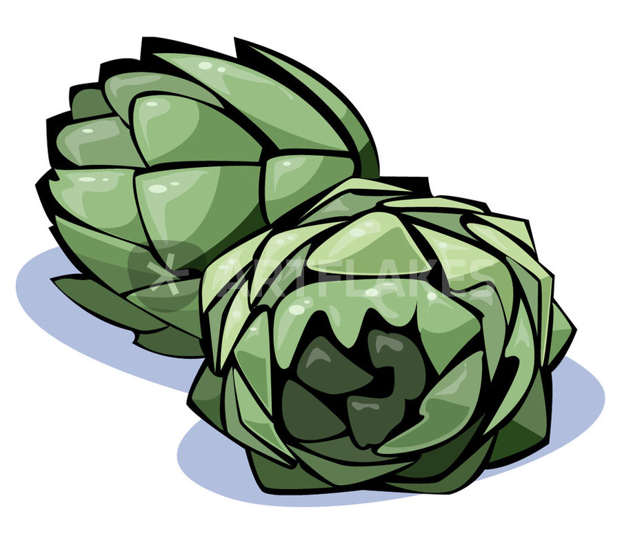 Artichoke Drawing Free download on ClipArtMag