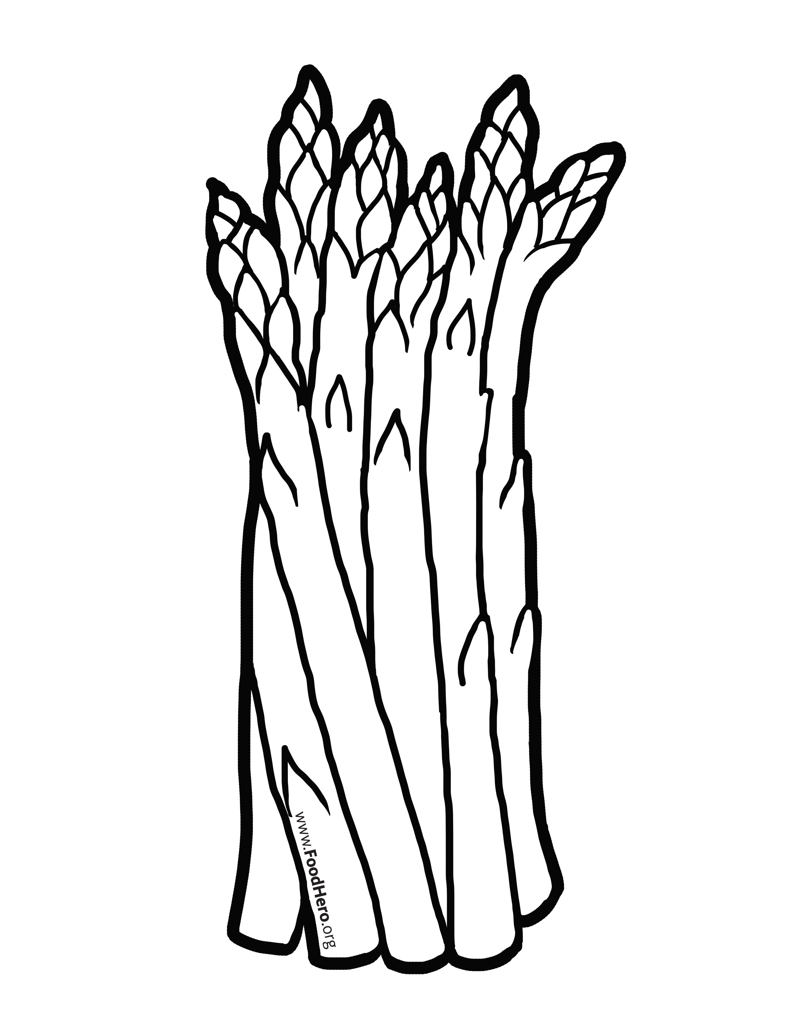 Asparagus Drawing Free download on ClipArtMag