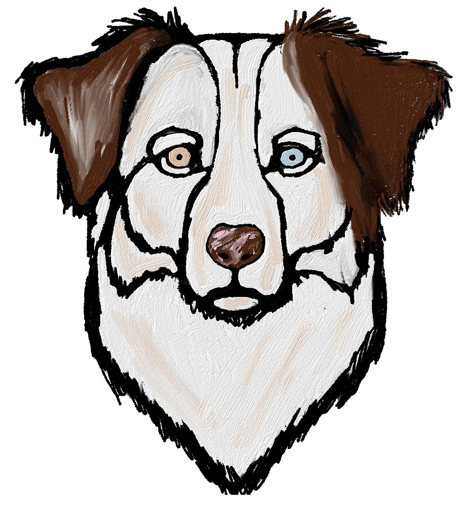 35+ Trends For Easy Australian Shepherd Puppy Drawing | The Campbells