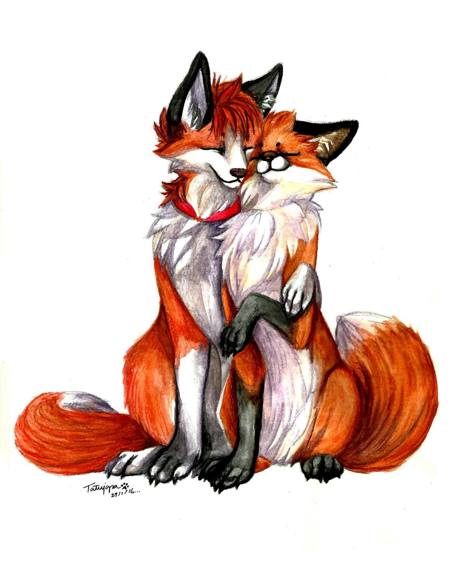 Baby Fox Drawing | Free download on ClipArtMag