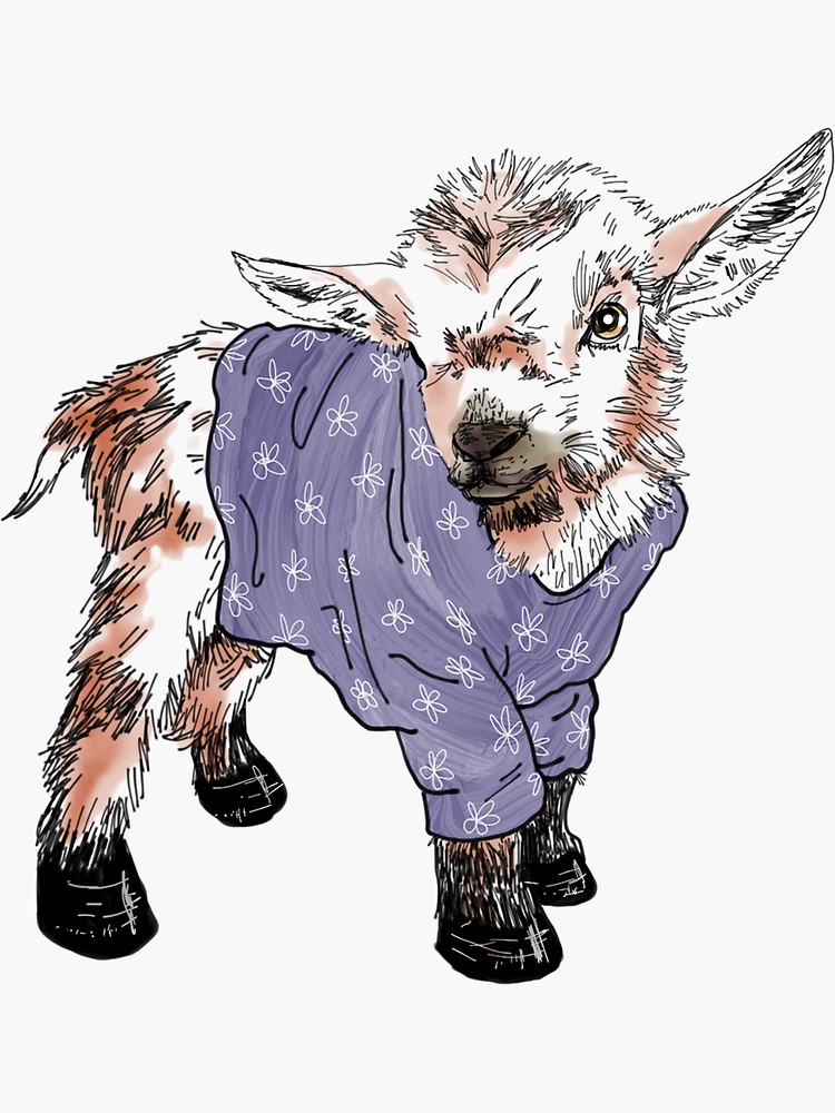 goat baby drawing clipartmag