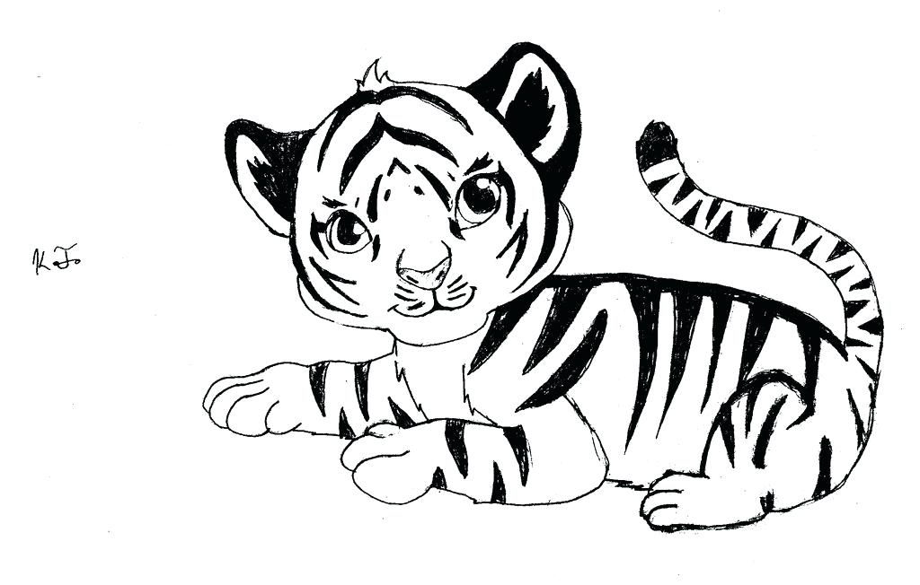 How To Draw A Baby Tiger With Pencil