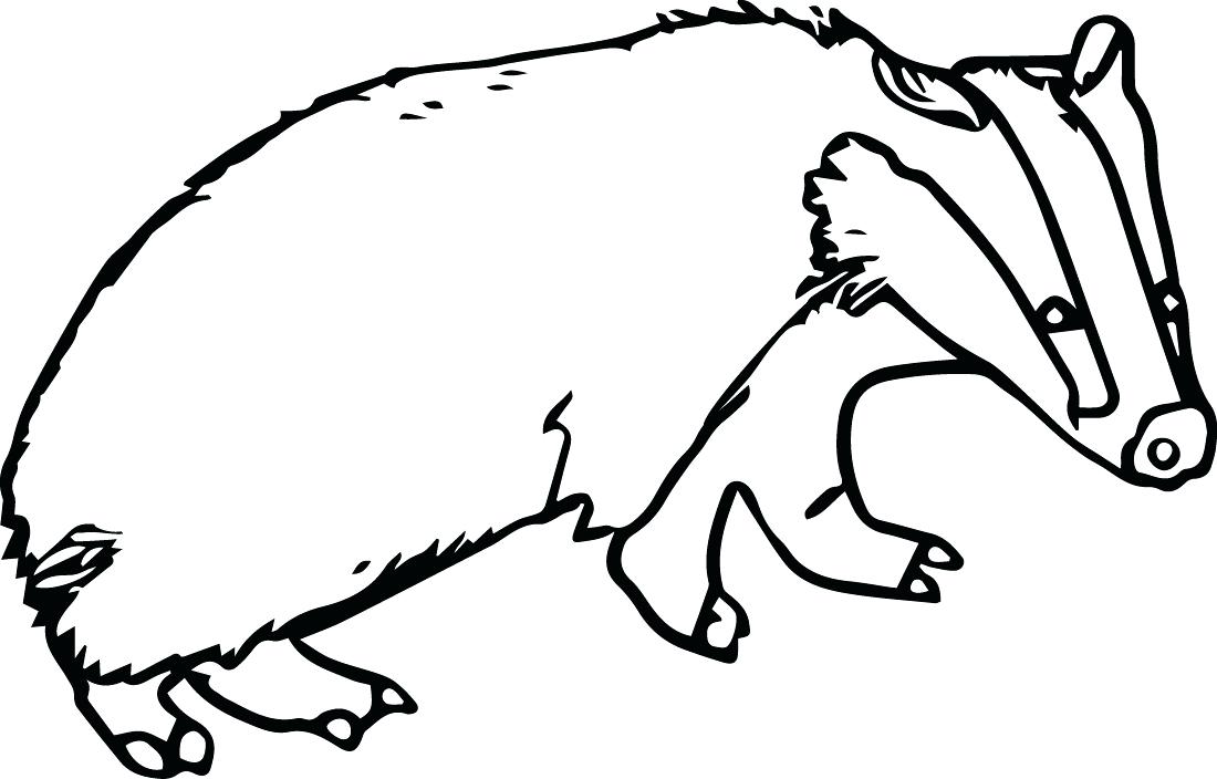 Badger Drawing | Free Download On ClipArtMag