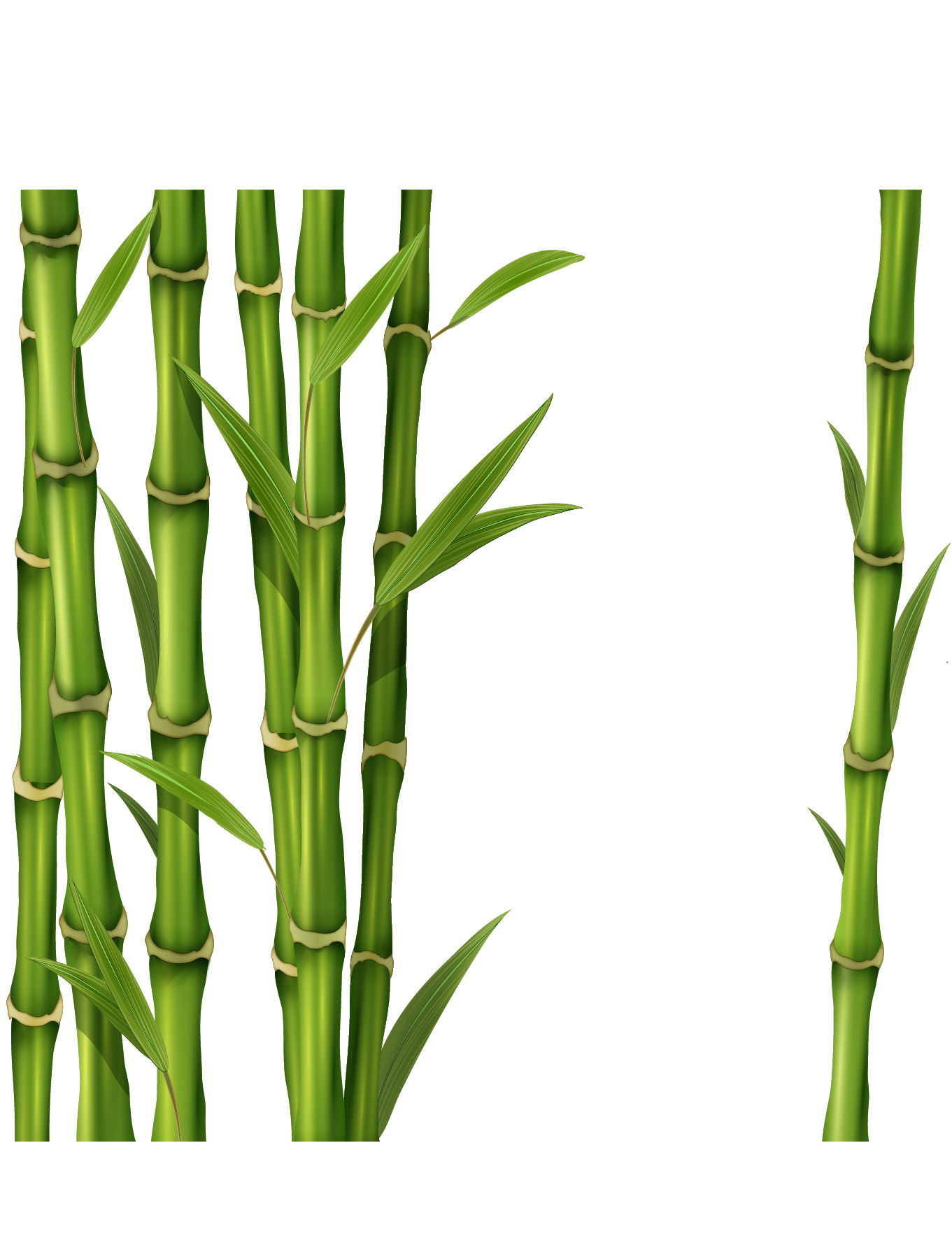 Bamboo Drawing Free download on ClipArtMag