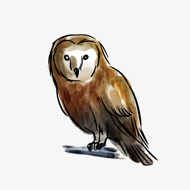 Barn Owl Drawing | Free download on ClipArtMag