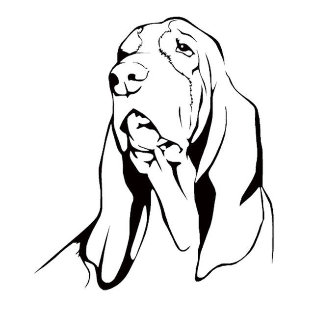 Basset Hound Drawing | Free download on ClipArtMag