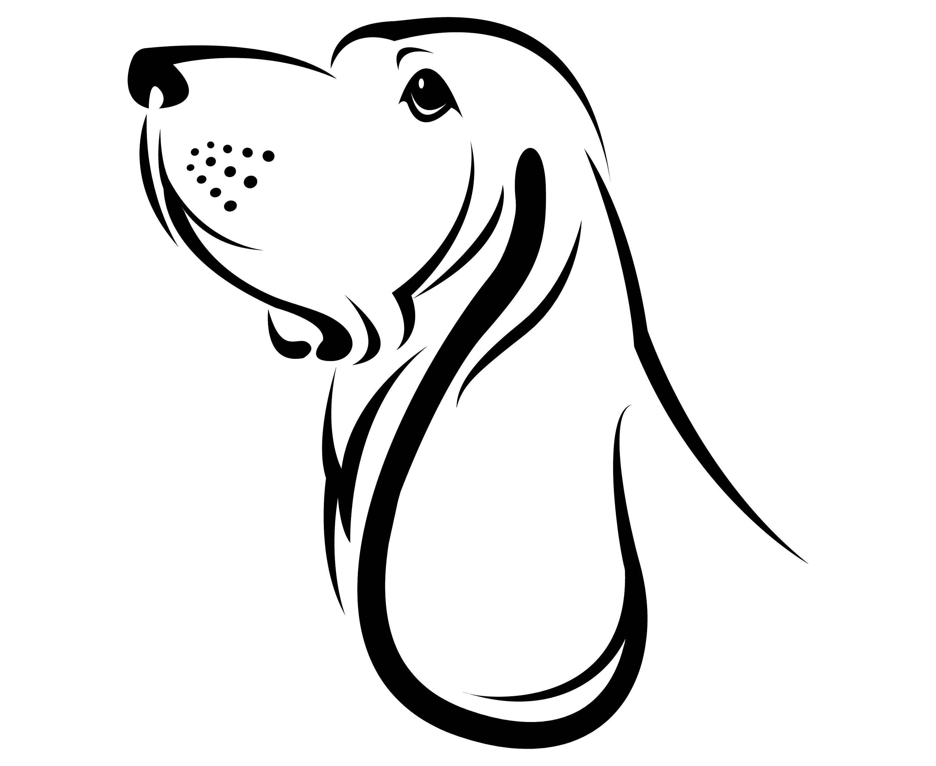 Basset Hound Drawing | Free download on ClipArtMag