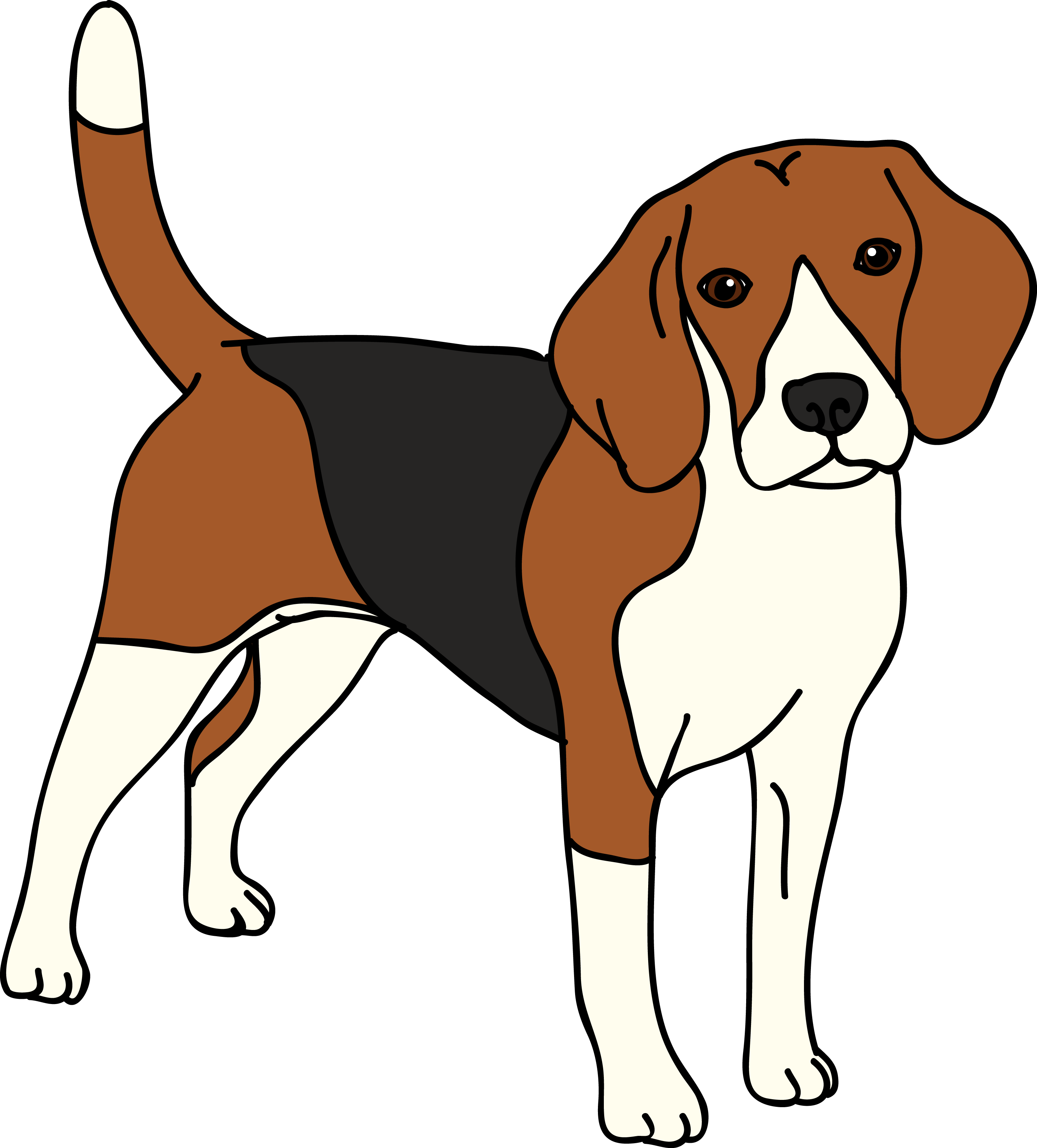 Best How To Draw Beagle  The ultimate guide 