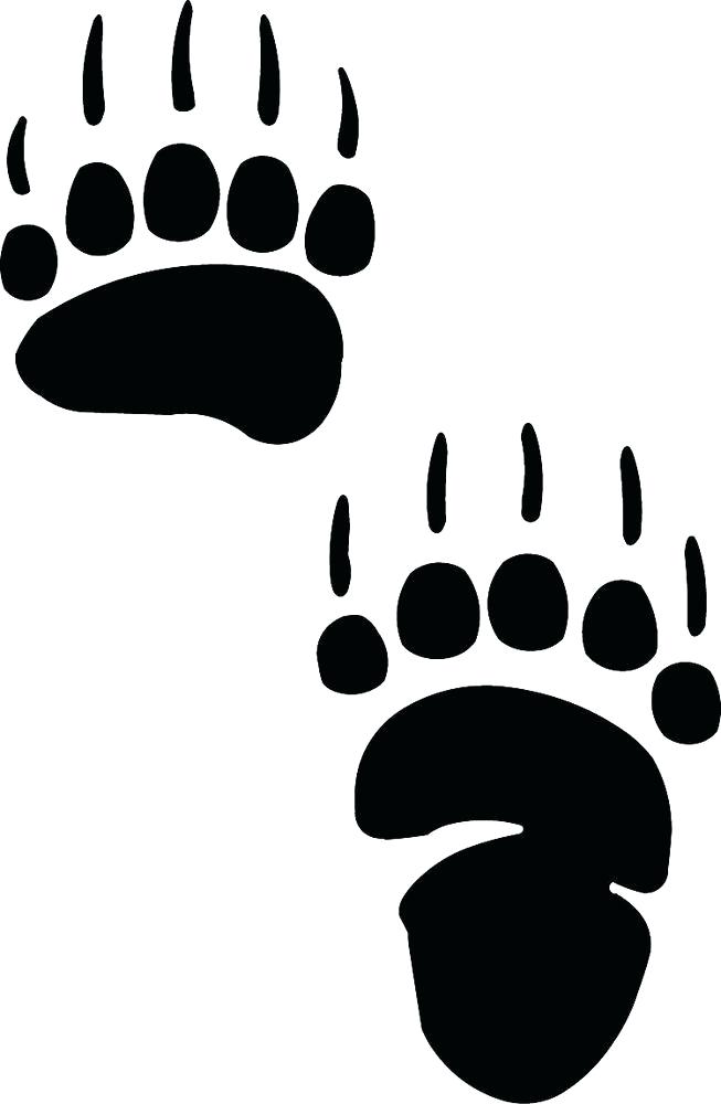 Cougar Paw Drawing | Free download on ClipArtMag