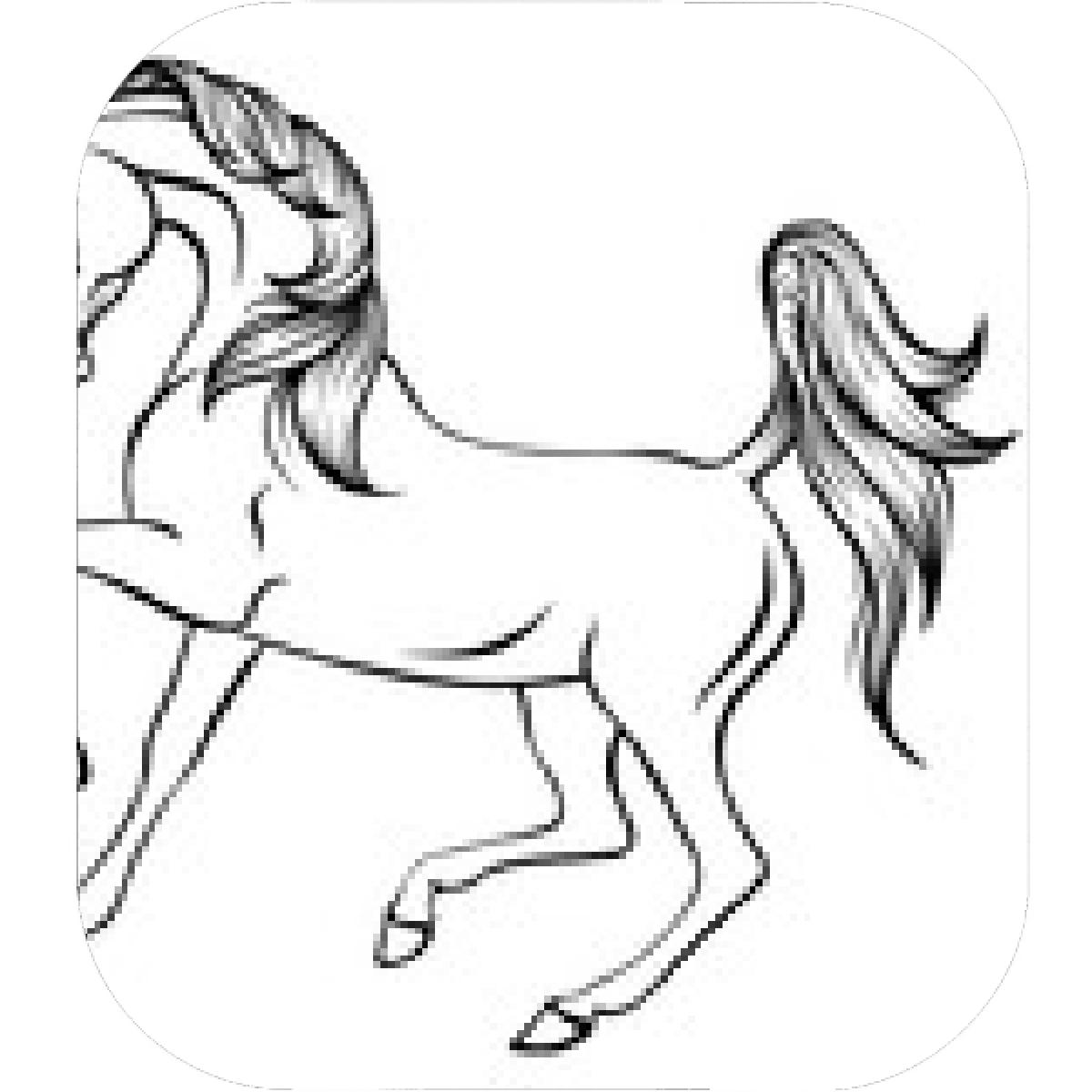 Арабская лошадь рисунок контурный