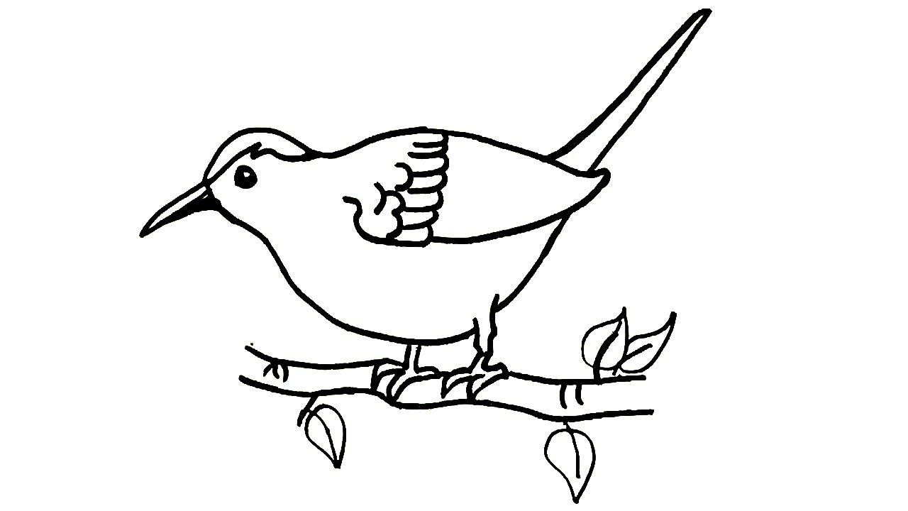 Bird Drawing | Free download on ClipArtMag