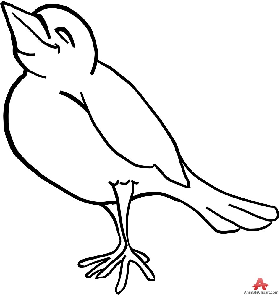 Bird Outline Drawing | Free download on ClipArtMag