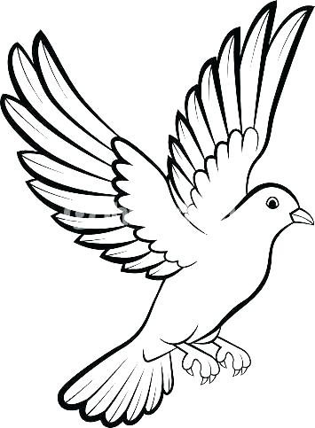 Bird Outline Drawing | Free download on ClipArtMag