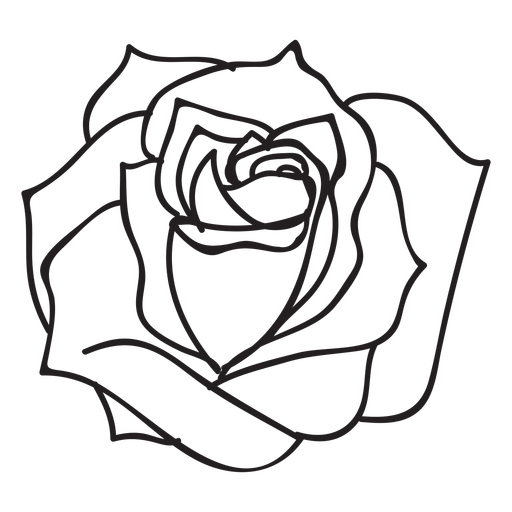 Black And Grey Rose Drawing Free Download On Clipartmag