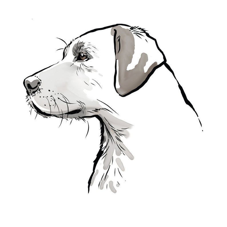 Collection of Labrador clipart | Free download best Labrador clipart on