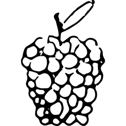 Blackberry Drawing | Free download on ClipArtMag