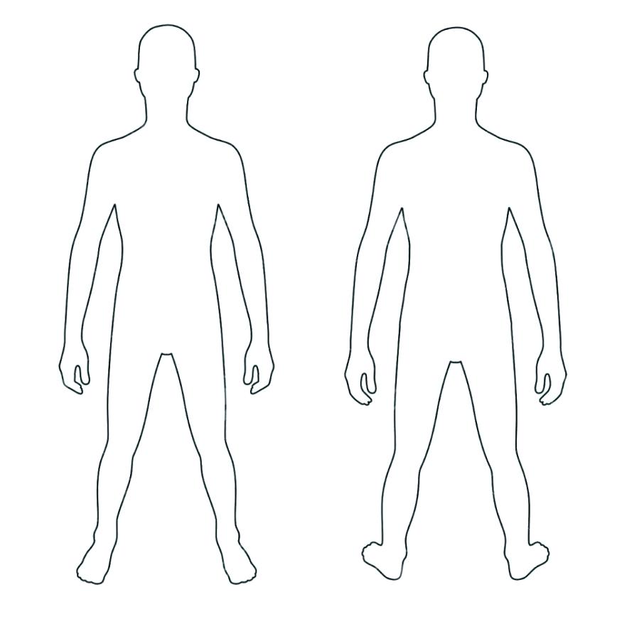 Blank Drawing Of Human Body Free download on ClipArtMag