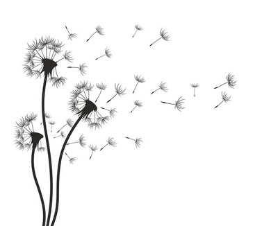 Blowing Dandelion Drawing | Free download on ClipArtMag