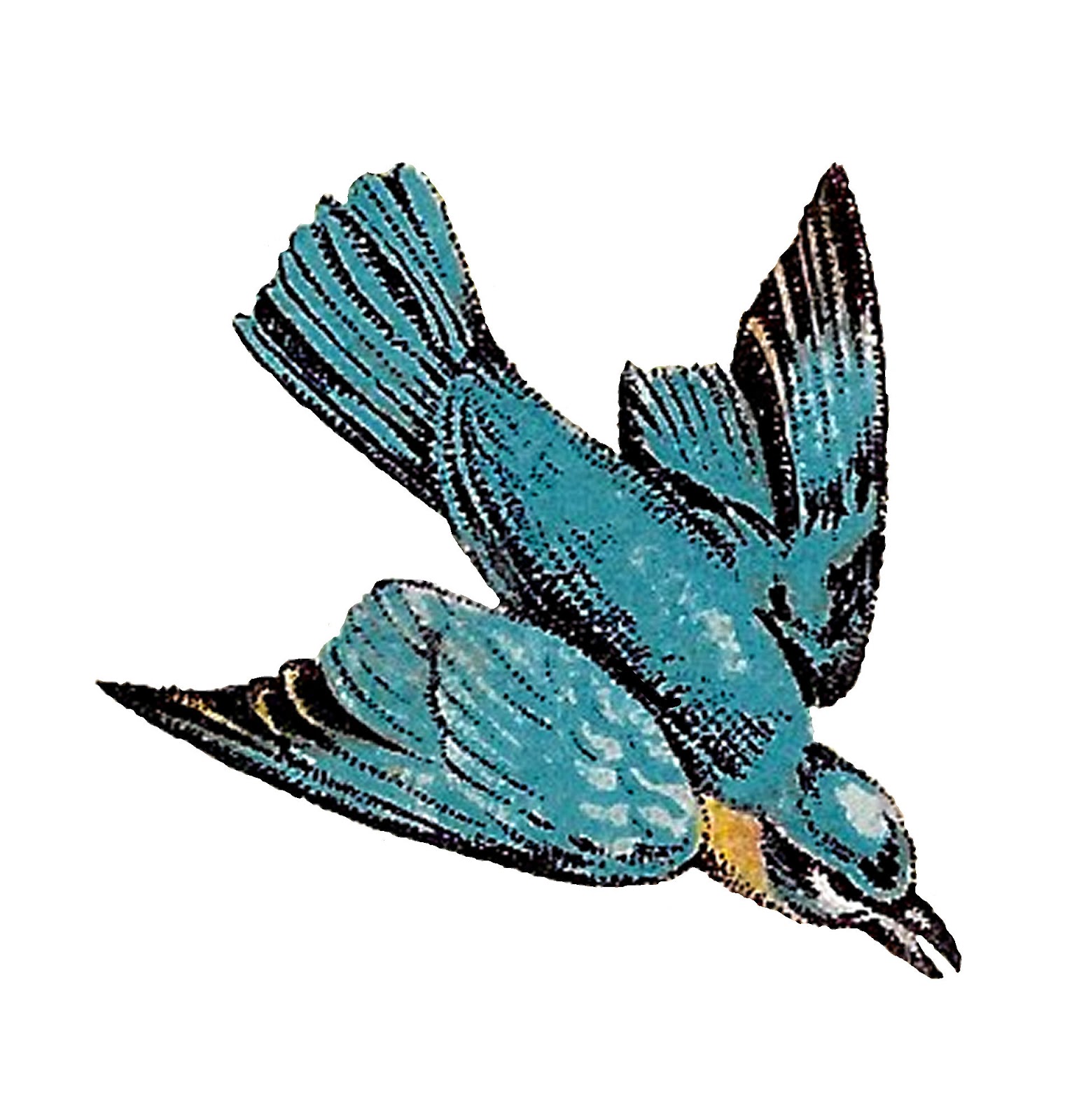 Blue Bird Flying Drawing Free download on ClipArtMag