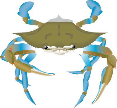 Blue Crab Drawing | Free download on ClipArtMag