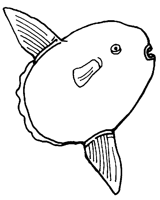 Bluegill Coloring Pages