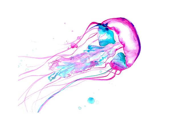 Box Jellyfish Drawing | Free download on ClipArtMag