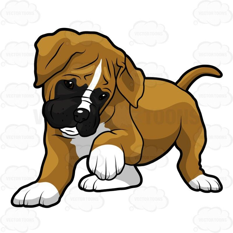 Collection of Boxer clipart | Free download best Boxer clipart on