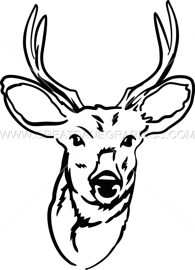 Buck Line Drawing | Free download on ClipArtMag