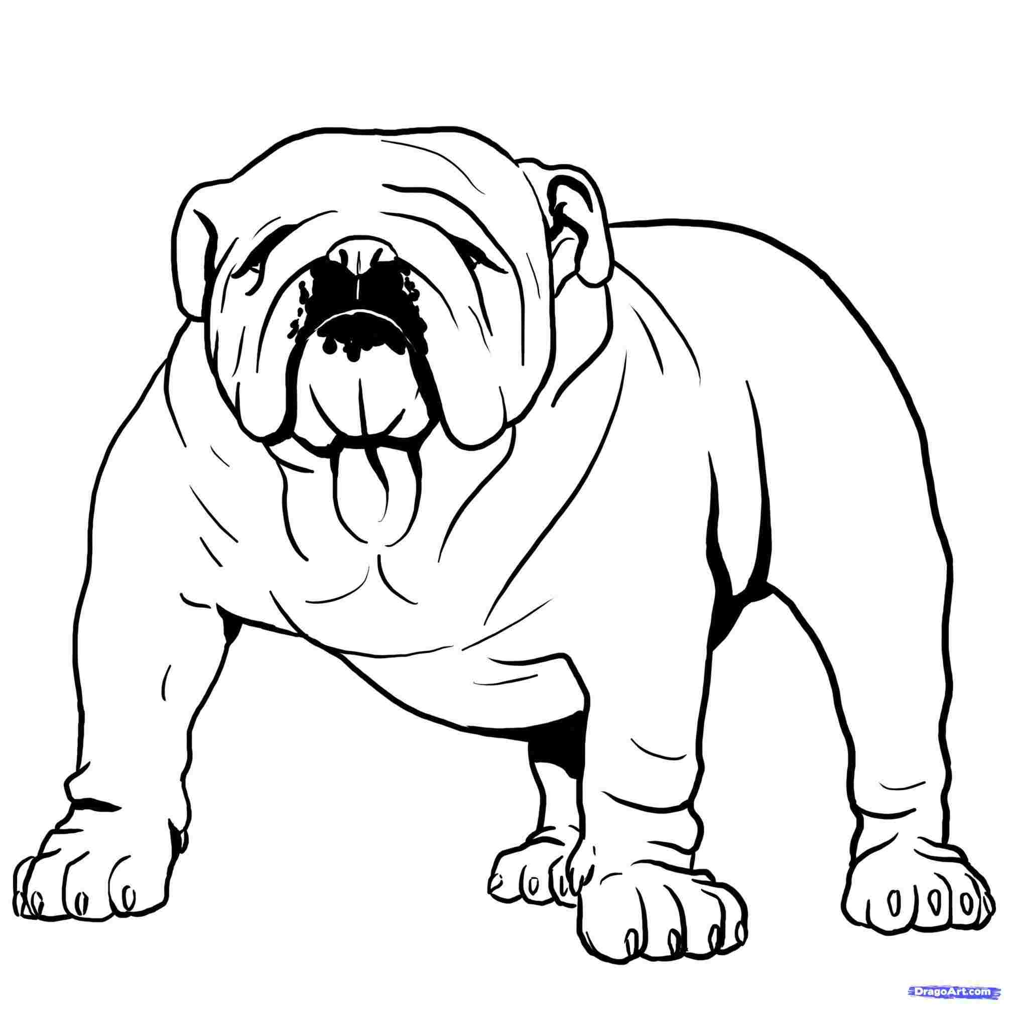bulldog-line-drawing-free-download-on-clipartmag