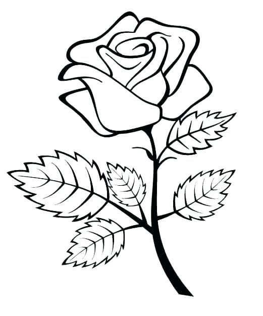 656 Cartoon Bunch Of Roses Coloring Pages with Animal character
