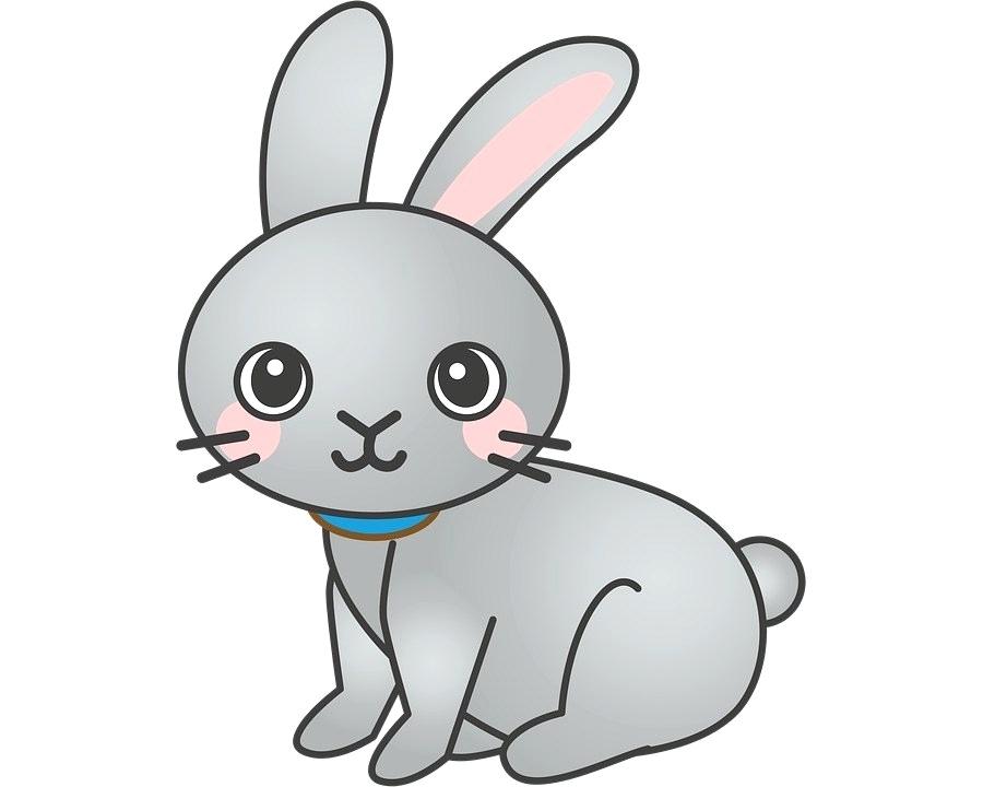 Bunny Line Drawing | Free download on ClipArtMag