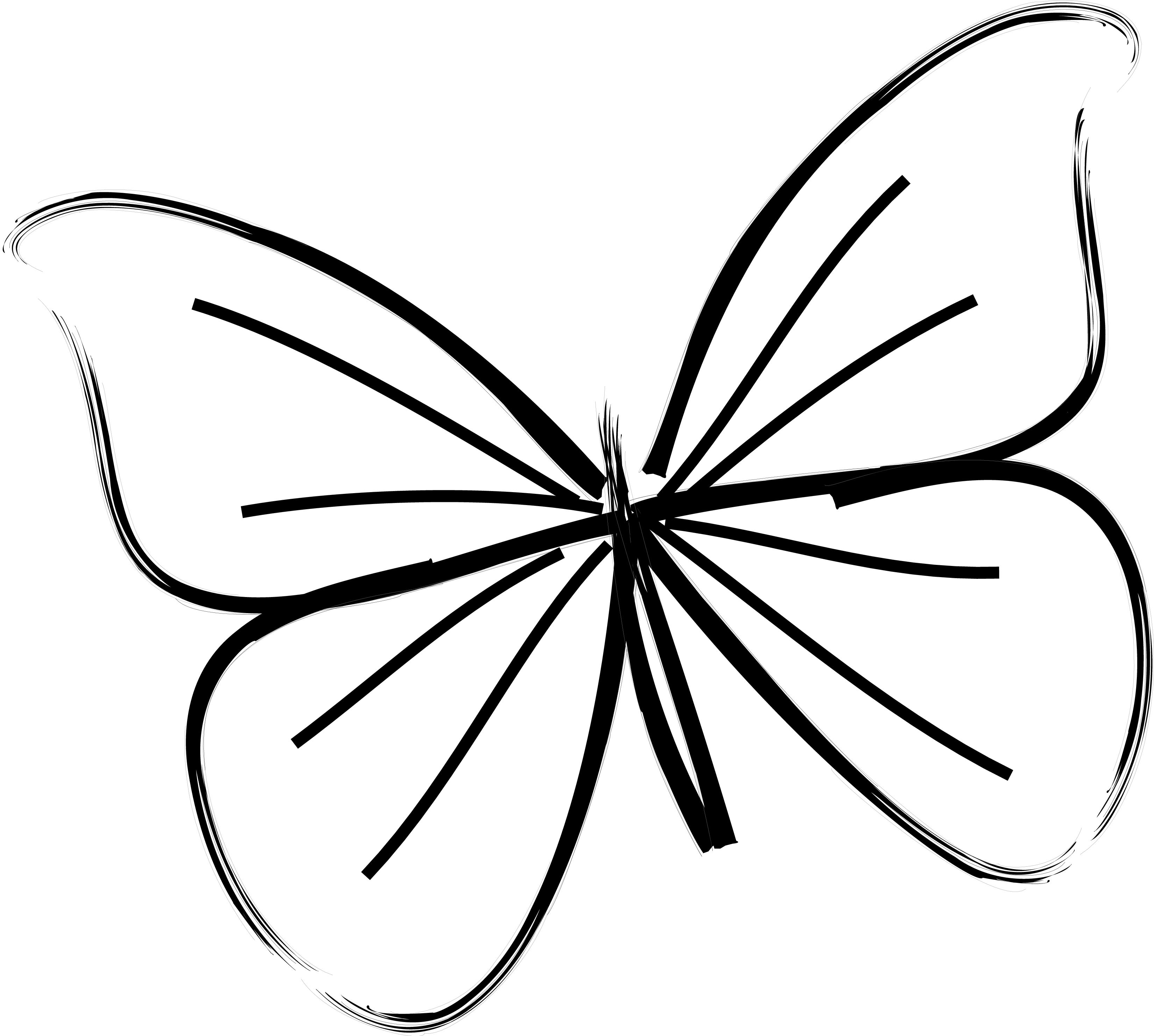 Butterfly Drawing For Children | Free download on ClipArtMag