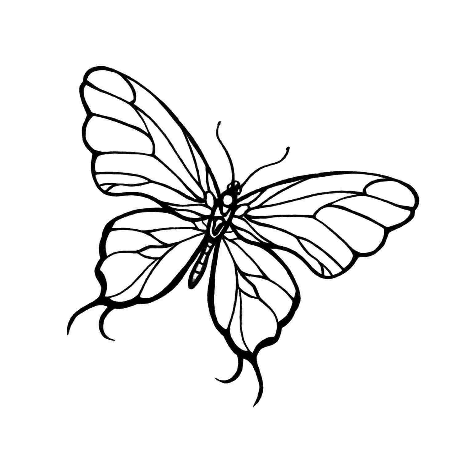 Butterfly Flying Drawing | Free download on ClipArtMag