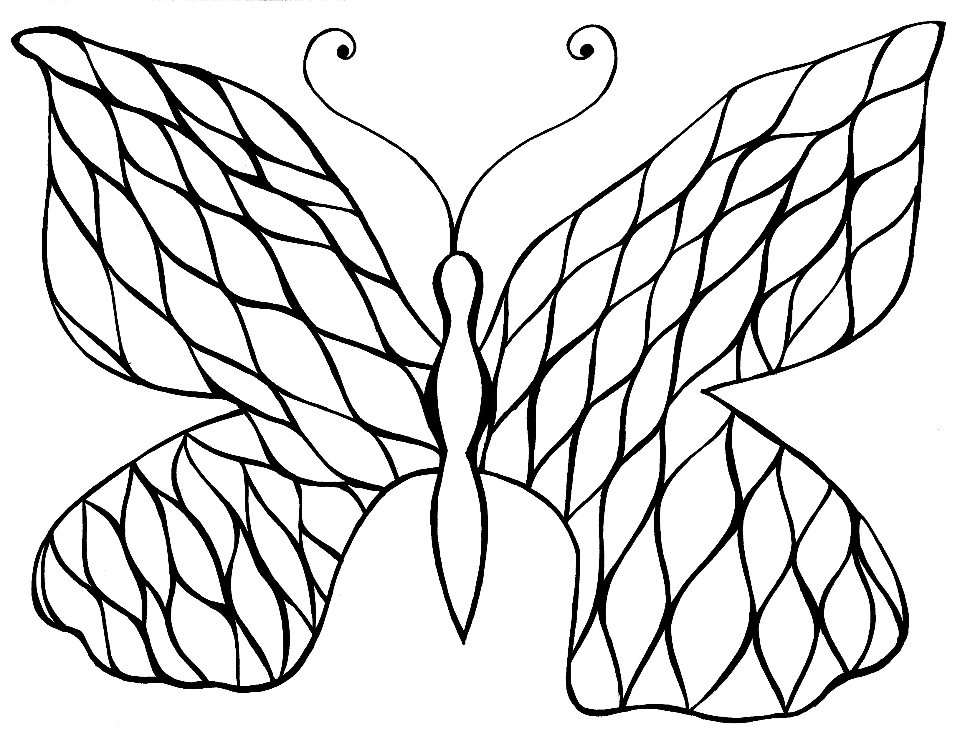 Butterfly Life Cycle Drawing | Free download on ClipArtMag